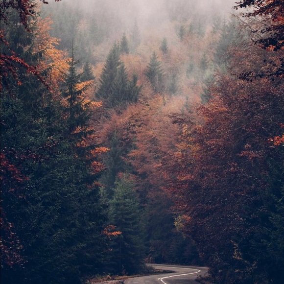 Meet your Posher, Hebah - Picture 1 of 1